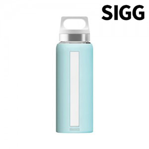 SIGG 지그 드림 글라스 워터보틀 0.65L 650ml 글래시어,캠핑용품